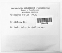 Image Associated With the Occurrence